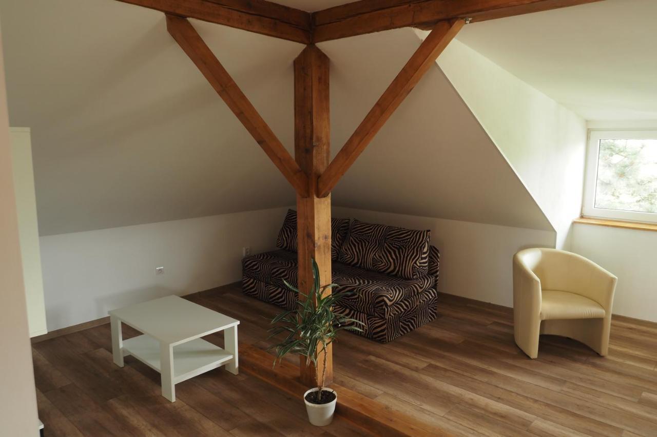 Apartman U Borovice Bílá Třemešná المظهر الخارجي الصورة